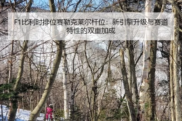 bi-li-shi-pai-wei-sai-lei-ke-lai-er-gan-wei-xin-yin-qing-sheng-ji-yu-sai-dao-te-xing-de-shuang-chong-jia-cheng-2-254.jpg